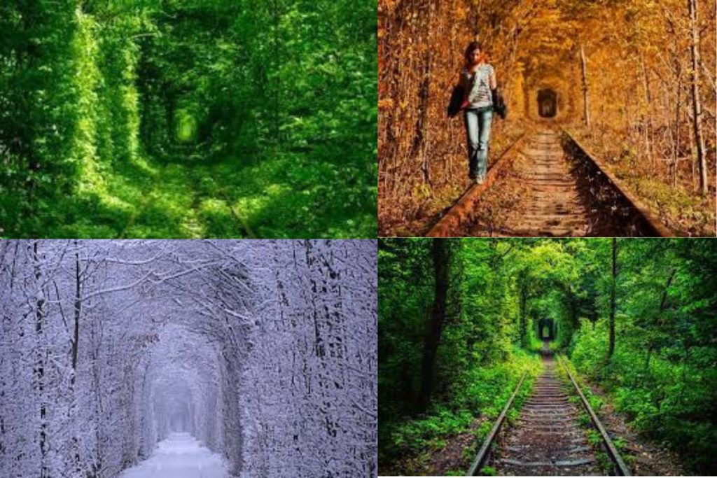 Фото тунелю кохання в різні пори року