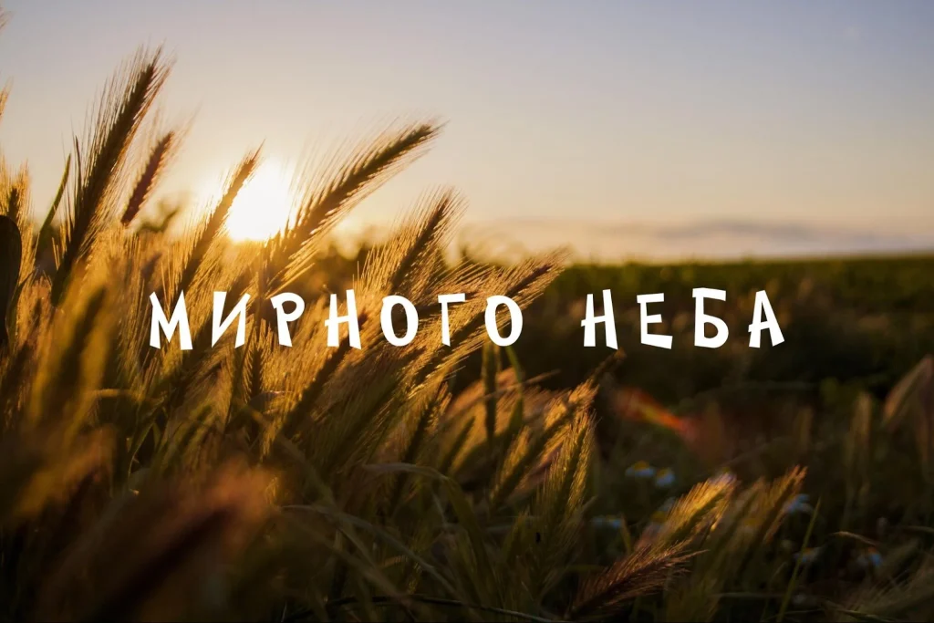 Пшеничне поле на заході сонця
